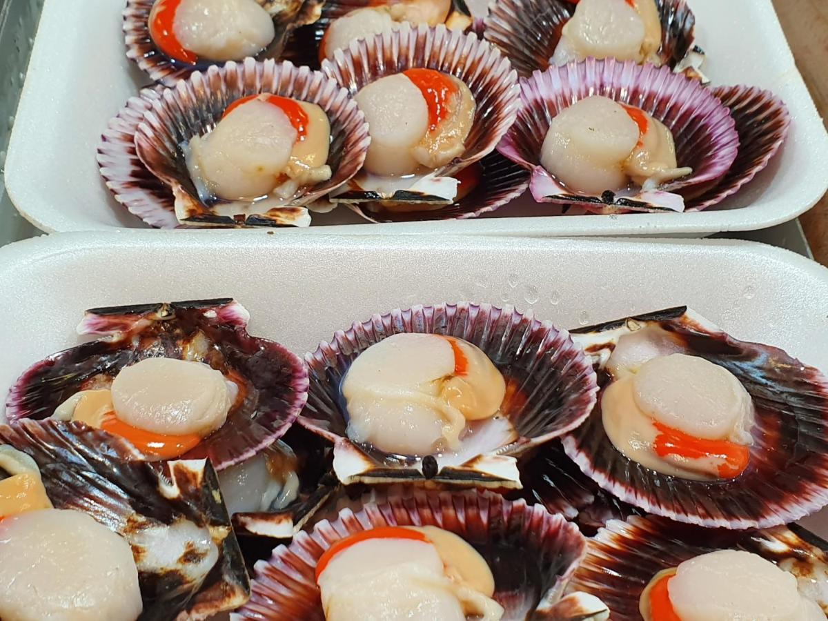 Casa Herbellas 쎄다이라 외부 사진